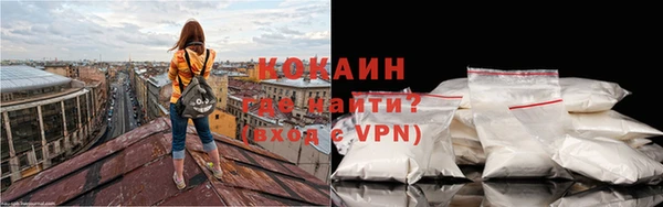 PSILOCYBIN Бородино