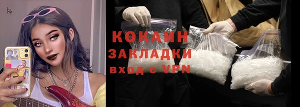 PSILOCYBIN Бородино