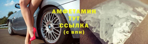 PSILOCYBIN Бородино